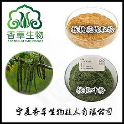 茶核桃价格 型号 图片